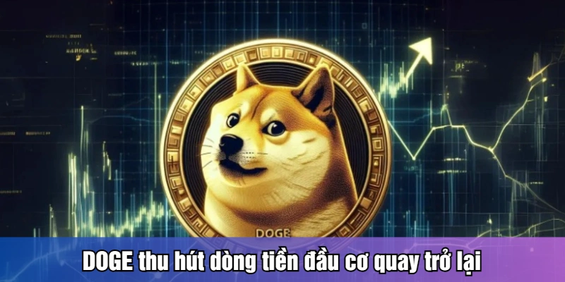 XRP Và DOGE Tăng Mạnh - Tín Hiệu Tích Cực Cho Crypto DOGE thu hút dòng tiền đầu cơ quay trở lại