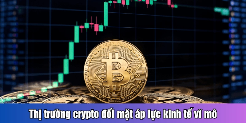 XRP Và DOGE Tăng Mạnh - Tín Hiệu Tích Cực Cho Crypto Thị trường crypto đối mặt áp lực kinh tế vĩ mô
