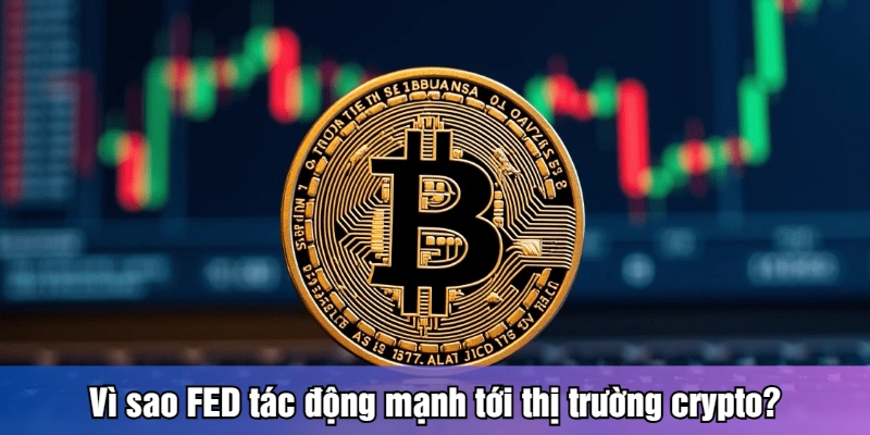 Bitcoin Chịu Áp Lực Từ Lãi Suất FED - Góc Nhìn Mới Vì sao FED tác động mạnh tới thị trường crypto?